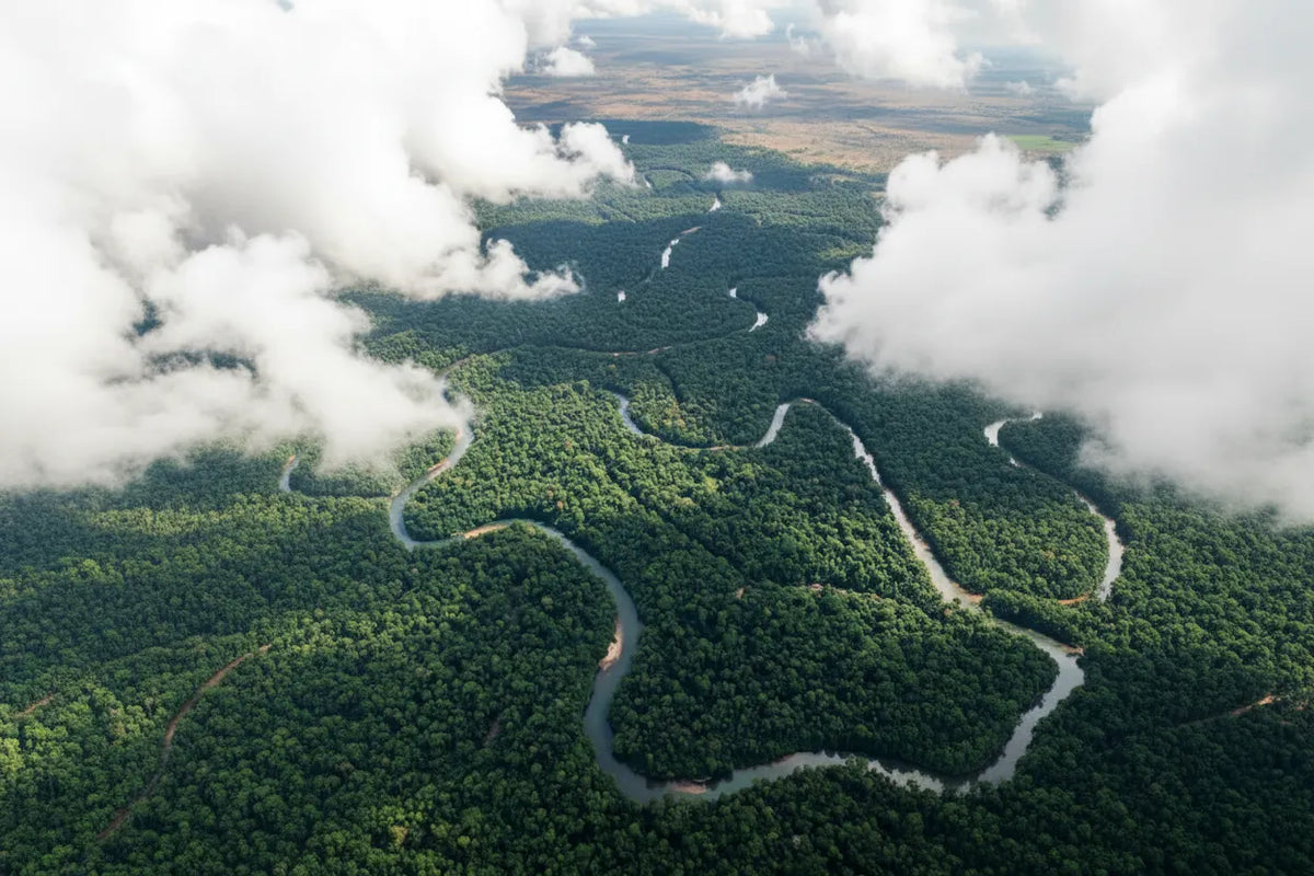 Aerial view of a lush, winding river through a dense rainforest under white clouds. Representing the importance of sustainable energy solutions like the BLUETTI in preserving global ecosystems through carbon-neutral portable power