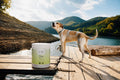 GAIA PETS JOINT SUPPORT POWDER FOR DOGS